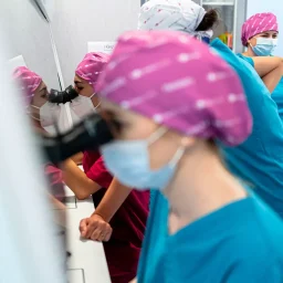 Asisted reproduction endometriosis