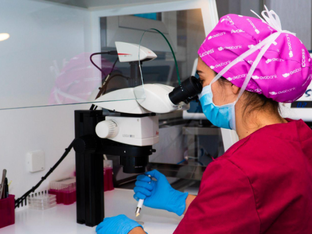 What an Embryologist Does