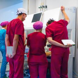 the specialised training of the qualified embryologists