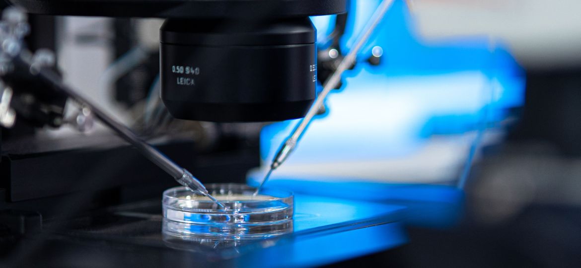 UWP eggs devitrification