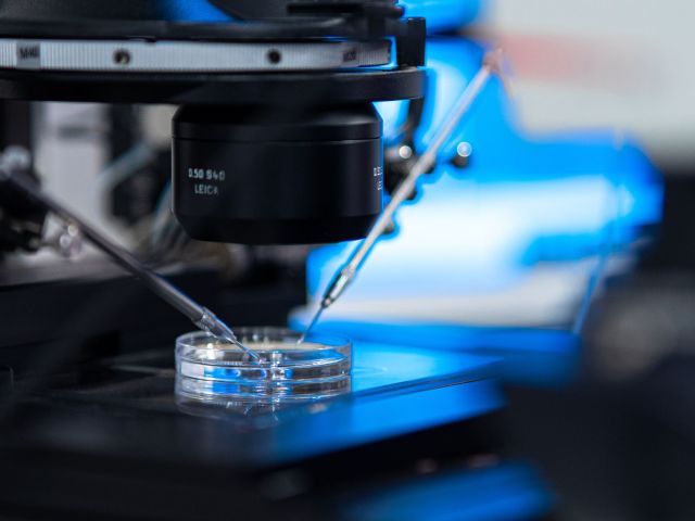 UWP eggs devitrification