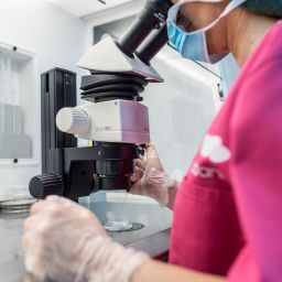 Discover everything you need to know about Preimplantation Genetic Diagnosis and genetic factors in rare diseases