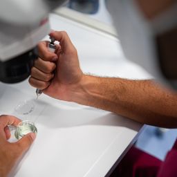 Findings on human papillomavirus and fertility