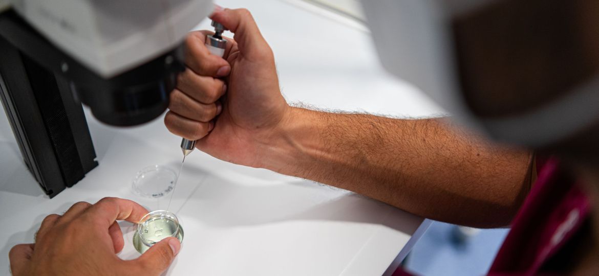 Descubra el papel del virus del papiloma humano (VPH) en la fertilidad y la importancia de la reproducción asistida con esta infección.