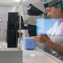 Descubre el estudio sobre UWP en desvitrificación