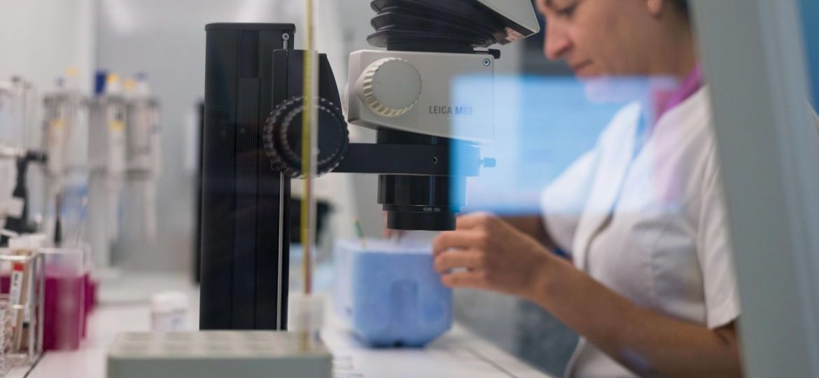 Descubre el estudio sobre UWP en desvitrificación