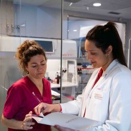 Thyroid glands and female fertility