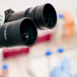 A symbolic illustration of the female reproductive system with microscopic bacteria, representing the influence of the microbiome on fertility and embryo implantation