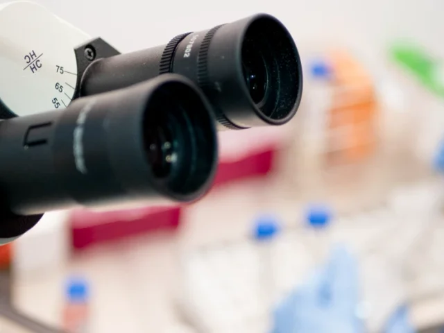 A symbolic illustration of the female reproductive system with microscopic bacteria, representing the influence of the microbiome on fertility and embryo implantation