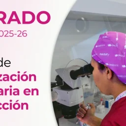 Posgrado diploma universitario