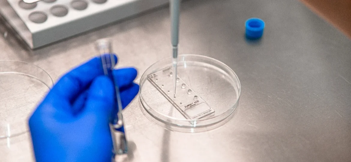 Optimización de la calidad espermática