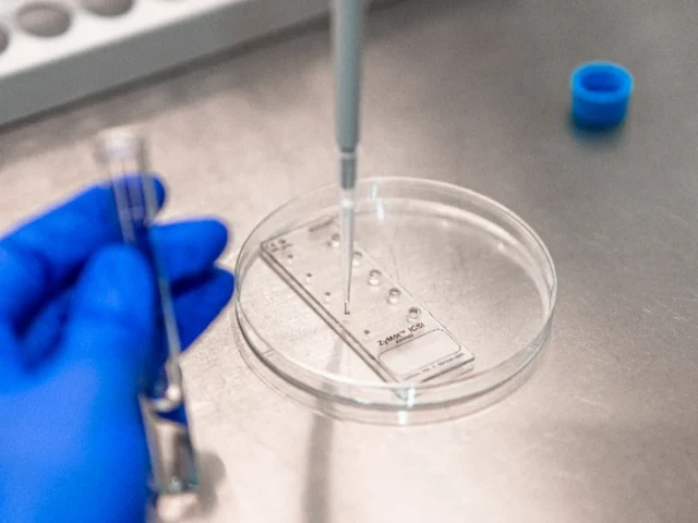 Optimización de la calidad espermática